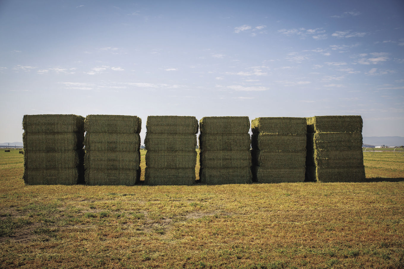 Cody Dodson - Baling Hay